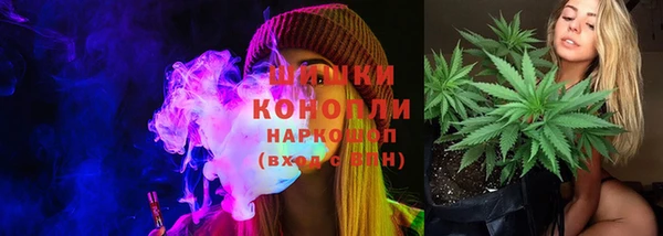 прущие крисы Белокуриха