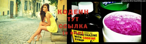 прущие крисы Белокуриха