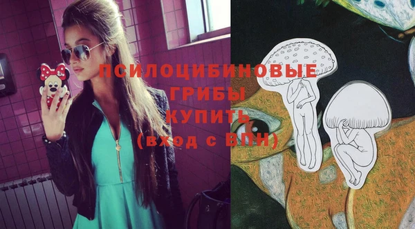мяу мяу мука Беломорск