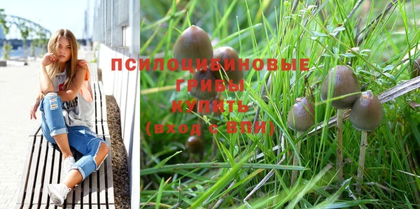 спиды Балахна