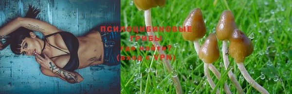 a pvp Белоозёрский